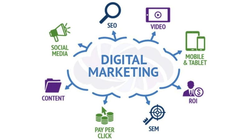 Drivology Solutions Digital Marketing