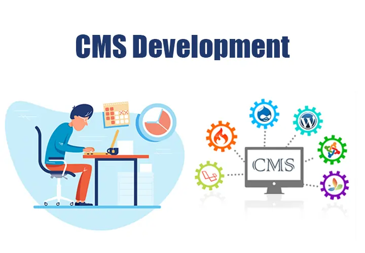 CMS Development